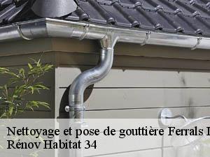 Nettoyage et pose de gouttière  ferrals-les-montagnes-34210 Rénov Habitat 34 