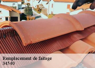 Remplacement de faitage  34540