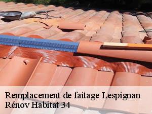 Remplacement de faitage  lespignan-34710 Rénov Habitat 34 