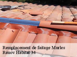 Remplacement de faitage  murles-34980 Rénov Habitat 34 